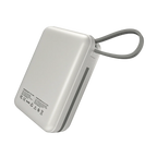 Ronin R-4055 Megawatt 30000mAh Power Bank
